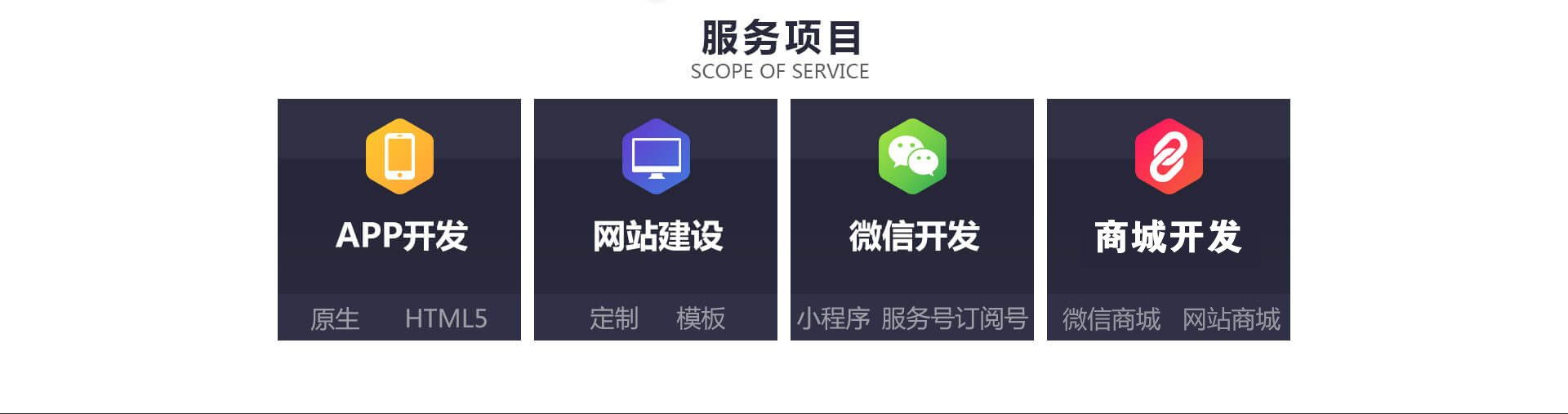 服务项目-网站建设、小程序开发、APP定制